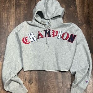 Champion Reverse Weave X-Large Hoodie